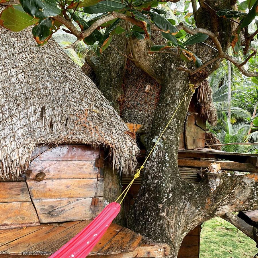 Ensuenos Natural Reserve Little Corn Island Nicaragua المظهر الخارجي الصورة