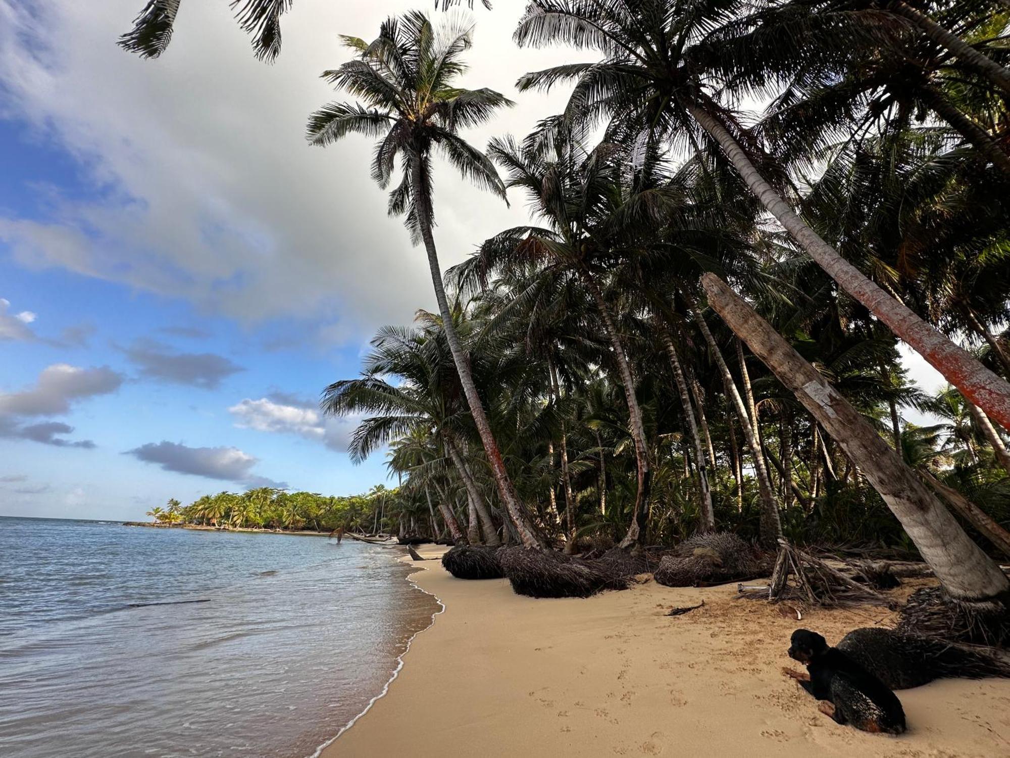 Ensuenos Natural Reserve Little Corn Island Nicaragua المظهر الخارجي الصورة